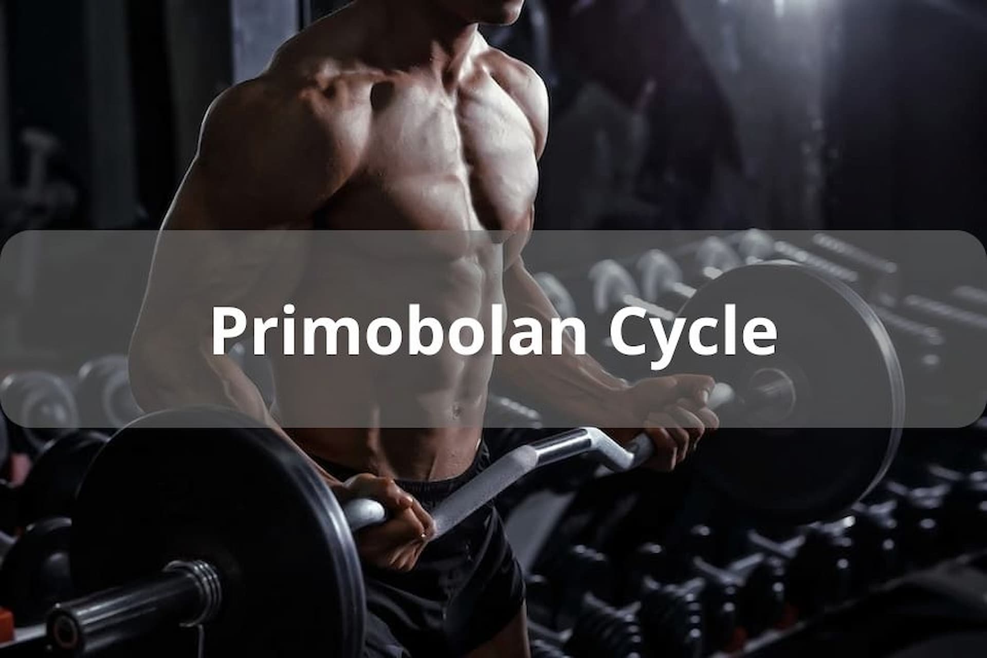 Primobolan Cycle